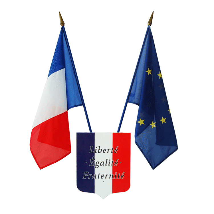 Logo drapeau français